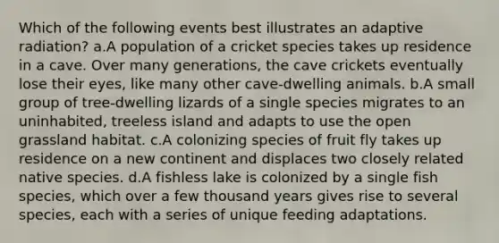 Which of the following events best illustrates an adaptive radiation? a.A population of a cricket species takes up residence in a cave. Over many generations, the cave crickets eventually lose their eyes, like many other cave-dwelling animals. b.A small group of tree-dwelling lizards of a single species migrates to an uninhabited, treeless island and adapts to use the open grassland habitat. c.A colonizing species of fruit fly takes up residence on a new continent and displaces two closely related native species. d.A fishless lake is colonized by a single fish species, which over a few thousand years gives rise to several species, each with a series of unique feeding adaptations.