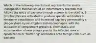 Which of the following events best represents the innate (nonspecific) mechanism of an inflammatory reaction that follows the entry of bacteria through a break in the skin? a. B lymphocytes are activated to produce specific antibodies b. histamine vasodilation and increased capillary permeability c. phagocytosis by neutrophils and macrophages; with the activation of complement protein d. chemotaxis and extravasation of new phagocytes to the infected area e. opsonization or "buttering" antibodies onto foreign cells such as bacteria