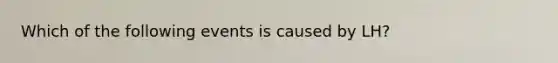 Which of the following events is caused by LH?