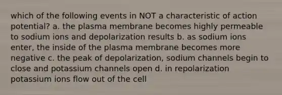 which of the following events in NOT a characteristic of action potential? a. the plasma membrane becomes highly permeable to sodium ions and depolarization results b. as sodium ions enter, the inside of the plasma membrane becomes more negative c. the peak of depolarization, sodium channels begin to close and potassium channels open d. in repolarization potassium ions flow out of the cell