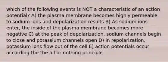 which of the following events is NOT a characteristic of an action potential? A) the plasma membrane becomes highly permeable to sodium ions and depolarization results B) As sodium ions enter, the inside of the plasma membrane becomes more negative C) at the peak of depolarization, sodium channels begin to close and potassium channels open D) in repolarization, potassium ions flow out of the cell E) action potentials occur according the the all or nothing principle