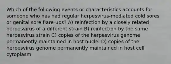 Which of the following events or characteristics accounts for someone who has had regular herpesvirus-mediated cold sores or genital sore flare-ups? A) reinfection by a closely related herpesvirus of a different strain B) reinfection by the same herpesvirus strain C) copies of the herpesvirus genome permanently maintained in host nuclei D) copies of the herpesvirus genome permanently maintained in host cell cytoplasm