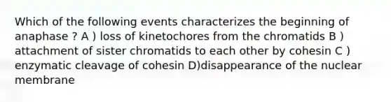 Which of the following events characterizes the beginning of anaphase ? A ) loss of kinetochores from the chromatids B ) attachment of sister chromatids to each other by cohesin C ) enzymatic cleavage of cohesin D)disappearance of the nuclear membrane