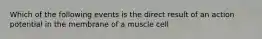 Which of the following events is the direct result of an action potential in the membrane of a muscle cell