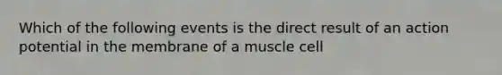 Which of the following events is the direct result of an action potential in the membrane of a muscle cell