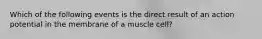 Which of the following events is the direct result of an action potential in the membrane of a muscle cell?