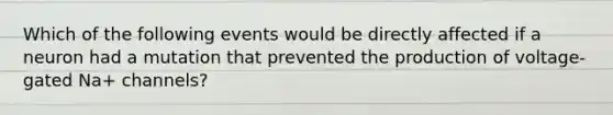 Which of the following events would be directly affected if a neuron had a mutation that prevented the production of voltage-gated Na+ channels?