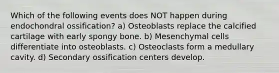 Which of the following events does NOT happen during endochondral ossification? a) Osteoblasts replace the calcified cartilage with early spongy bone. b) Mesenchymal cells differentiate into osteoblasts. c) Osteoclasts form a medullary cavity. d) Secondary ossification centers develop.