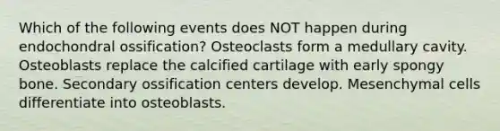 Which of the following events does NOT happen during endochondral ossification? Osteoclasts form a medullary cavity. Osteoblasts replace the calcified cartilage with early spongy bone. Secondary ossification centers develop. Mesenchymal cells differentiate into osteoblasts.