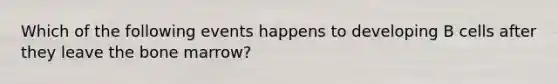 Which of the following events happens to developing B cells after they leave the bone marrow?