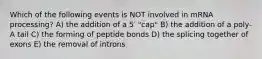 Which of the following events is NOT involved in mRNA processing? A) the addition of a 5′ "cap" B) the addition of a poly-A tail C) the forming of peptide bonds D) the splicing together of exons E) the removal of introns