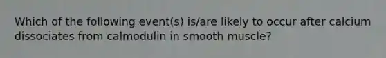 Which of the following event(s) is/are likely to occur after calcium dissociates from calmodulin in smooth muscle?