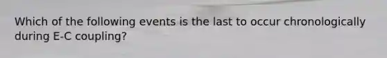 Which of the following events is the last to occur chronologically during E-C coupling?
