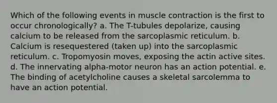 Which of the following events in muscle contraction is the first to occur chronologically? a. The T-tubules depolarize, causing calcium to be released from the sarcoplasmic reticulum. b. Calcium is resequestered (taken up) into the sarcoplasmic reticulum. c. Tropomyosin moves, exposing the actin active sites. d. The innervating alpha-motor neuron has an action potential. e. The binding of acetylcholine causes a skeletal sarcolemma to have an action potential.