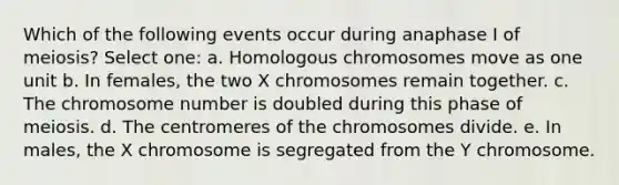 Which of the following events occur during anaphase I of meiosis? Select one: a. Homologous chromosomes move as one unit b. In females, the two X chromosomes remain together. c. The chromosome number is doubled during this phase of meiosis. d. The centromeres of the chromosomes divide. e. In males, the X chromosome is segregated from the Y chromosome.