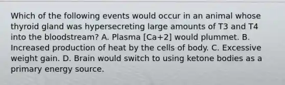 Which of the following events would occur in an animal whose thyroid gland was hypersecreting large amounts of T3 and T4 into the bloodstream? A. Plasma [Ca+2] would plummet. B. Increased production of heat by the cells of body. C. Excessive weight gain. D. Brain would switch to using ketone bodies as a primary energy source.