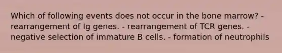 Which of following events does not occur in the bone marrow? - rearrangement of Ig genes. - rearrangement of TCR genes. - negative selection of immature B cells. - formation of neutrophils