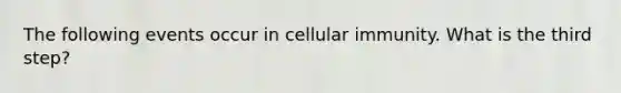 The following events occur in cellular immunity. What is the third step?