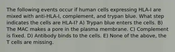 The following events occur if human cells expressing HLA-I are mixed with anti-HLA-I, complement, and trypan blue. What step indicates the cells are HLA-I? A) Trypan blue enters the cells. B) The MAC makes a pore in the plasma membrane. C) Complement is fixed. D) Antibody binds to the cells. E) None of the above, the T cells are missing.