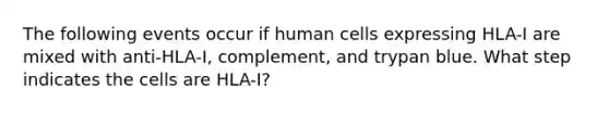 The following events occur if human cells expressing HLA-I are mixed with anti-HLA-I, complement, and trypan blue. What step indicates the cells are HLA-I?