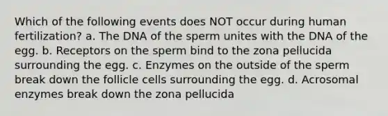 Which of the following events does NOT occur during human fertilization? a. The DNA of the sperm unites with the DNA of the egg. b. Receptors on the sperm bind to the zona pellucida surrounding the egg. c. Enzymes on the outside of the sperm break down the follicle cells surrounding the egg. d. Acrosomal enzymes break down the zona pellucida