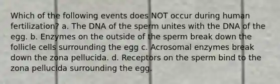 Which of the following events does NOT occur during human fertilization? a. The DNA of the sperm unites with the DNA of the egg. b. Enzymes on the outside of the sperm break down the follicle cells surrounding the egg c. Acrosomal enzymes break down the zona pellucida. d. Receptors on the sperm bind to the zona pellucida surrounding the egg.