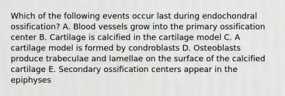 Which of the following events occur last during endochondral ossification? A. Blood vessels grow into the primary ossification center B. Cartilage is calcified in the cartilage model C. A cartilage model is formed by condroblasts D. Osteoblasts produce trabeculae and lamellae on the surface of the calcified cartilage E. Secondary ossification centers appear in the epiphyses