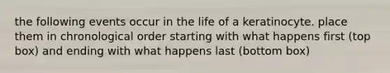 the following events occur in the life of a keratinocyte. place them in chronological order starting with what happens first (top box) and ending with what happens last (bottom box)