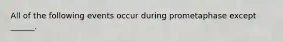 All of the following events occur during prometaphase except ______.