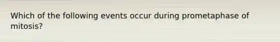 Which of the following events occur during prometaphase of mitosis?