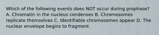 Which of the following events does NOT occur during prophase? A. Chromatin in the nucleus condenses B. Chromosomes replicate themselves C. Identifiable chromosomes appear D. The nuclear envelope begins to fragment