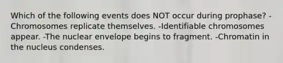 Which of the following events does NOT occur during prophase? -Chromosomes replicate themselves. -Identifiable chromosomes appear. -The nuclear envelope begins to fragment. -Chromatin in the nucleus condenses.