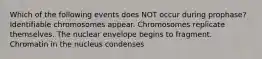 Which of the following events does NOT occur during prophase? Identifiable chromosomes appear. Chromosomes replicate themselves. The nuclear envelope begins to fragment. Chromatin in the nucleus condenses