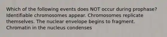 Which of the following events does NOT occur during prophase? Identifiable chromosomes appear. Chromosomes replicate themselves. The nuclear envelope begins to fragment. Chromatin in the nucleus condenses