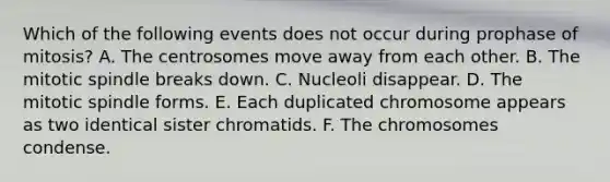 Which of the following events does not occur during prophase of mitosis? A. The centrosomes move away from each other. B. The mitotic spindle breaks down. C. Nucleoli disappear. D. The mitotic spindle forms. E. Each duplicated chromosome appears as two identical sister chromatids. F. The chromosomes condense.