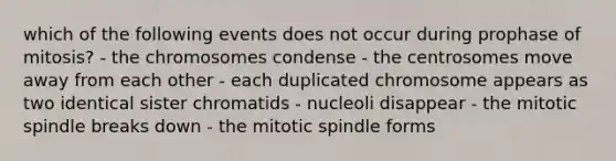 which of the following events does not occur during prophase of mitosis? - the chromosomes condense - the centrosomes move away from each other - each duplicated chromosome appears as two identical sister chromatids - nucleoli disappear - the mitotic spindle breaks down - the mitotic spindle forms