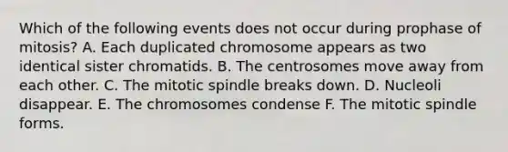 Which of the following events does not occur during prophase of mitosis? A. Each duplicated chromosome appears as two identical sister chromatids. B. The centrosomes move away from each other. C. The mitotic spindle breaks down. D. Nucleoli disappear. E. The chromosomes condense F. The mitotic spindle forms.