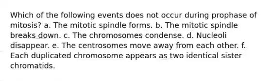 Which of the following events does not occur during prophase of mitosis? a. The mitotic spindle forms. b. The mitotic spindle breaks down. c. The chromosomes condense. d. Nucleoli disappear. e. The centrosomes move away from each other. f. Each duplicated chromosome appears as two identical sister chromatids.