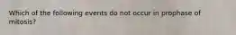 Which of the following events do not occur in prophase of mitosis?