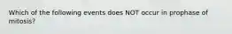 Which of the following events does NOT occur in prophase of mitosis?