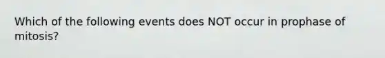 Which of the following events does NOT occur in prophase of mitosis?