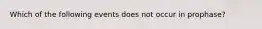 Which of the following events does not occur in prophase?