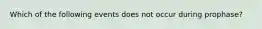 Which of the following events does not occur during prophase?