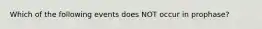 Which of the following events does NOT occur in prophase?