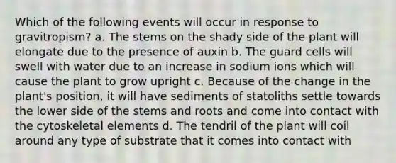 Which of the following events will occur in response to gravitropism? a. The stems on the shady side of the plant will elongate due to the presence of auxin b. The guard cells will swell with water due to an increase in sodium ions which will cause the plant to grow upright c. Because of the change in the plant's position, it will have sediments of statoliths settle towards the lower side of the stems and roots and come into contact with the cytoskeletal elements d. The tendril of the plant will coil around any type of substrate that it comes into contact with