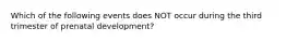 Which of the following events does NOT occur during the third trimester of prenatal development?