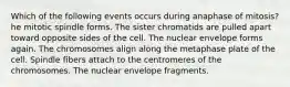 Which of the following events occurs during anaphase of mitosis? he mitotic spindle forms. The sister chromatids are pulled apart toward opposite sides of the cell. The nuclear envelope forms again. The chromosomes align along the metaphase plate of the cell. Spindle fibers attach to the centromeres of the chromosomes. The nuclear envelope fragments.