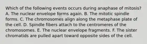 Which of the following events occurs during anaphase of mitosis? A. The nuclear envelope forms again. B. The mitotic spindle forms. C. The chromosomes align along the metaphase plate of the cell. D. Spindle fibers attach to the centromeres of the chromosomes. E. The nuclear envelope fragments. F. The sister chromatids are pulled apart toward opposite sides of the cell.