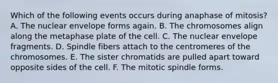 Which of the following events occurs during anaphase of mitosis? A. The nuclear envelope forms again. B. The chromosomes align along the metaphase plate of the cell. C. The nuclear envelope fragments. D. Spindle fibers attach to the centromeres of the chromosomes. E. The sister chromatids are pulled apart toward opposite sides of the cell. F. The mitotic spindle forms.