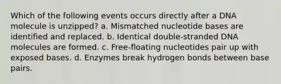 Which of the following events occurs directly after a DNA molecule is unzipped? a. Mismatched nucleotide bases are identified and replaced. b. Identical double-stranded DNA molecules are formed. c. Free-floating nucleotides pair up with exposed bases. d. Enzymes break hydrogen bonds between base pairs.